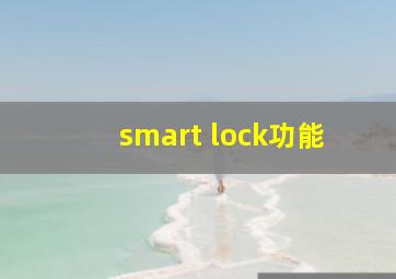 smart lock功能